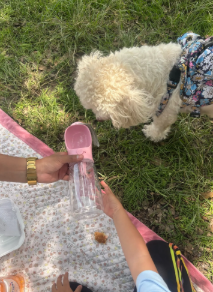 Capture d’écran 2026-01-28 210729.png